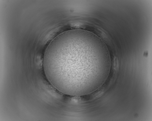 X0000112350420200908201444