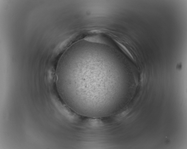 X0000112350424200908201444
