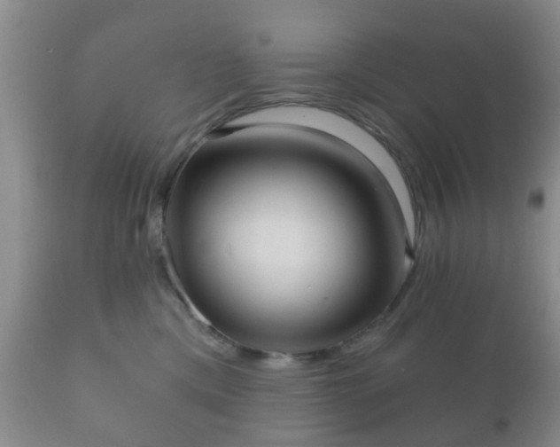 X0000112350425200908201444