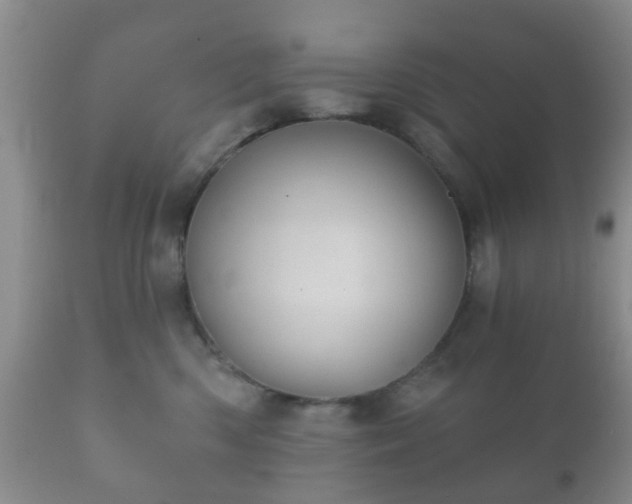 X0000112350426200908201444
