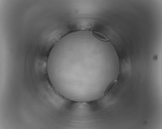 X0000112350427200908201444