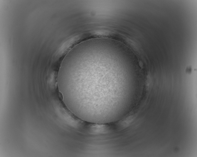 X0000112350428200908201444