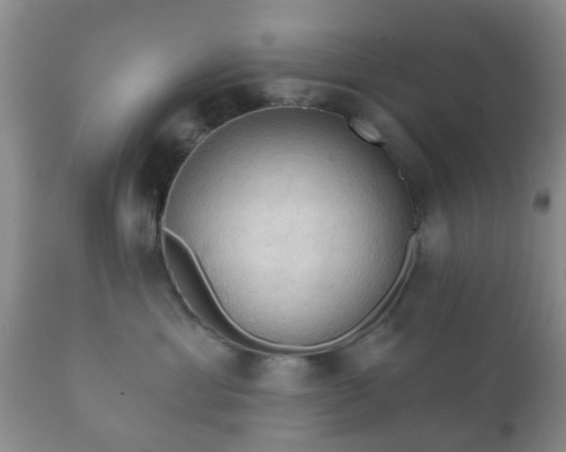 X0000112350429200908201444