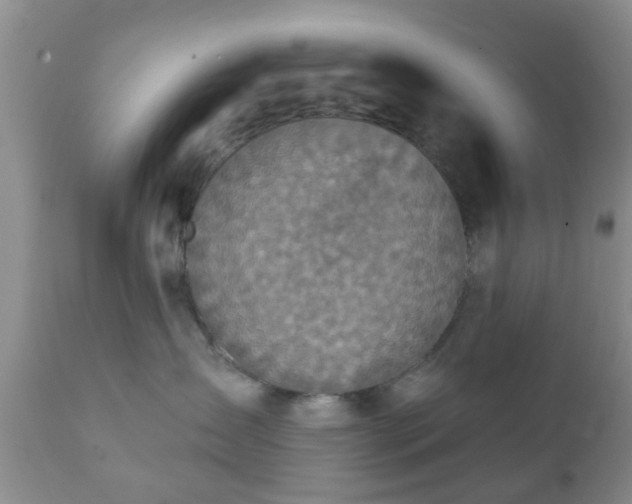 X0000112350431200908201444