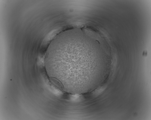 X0000112350432200908201444