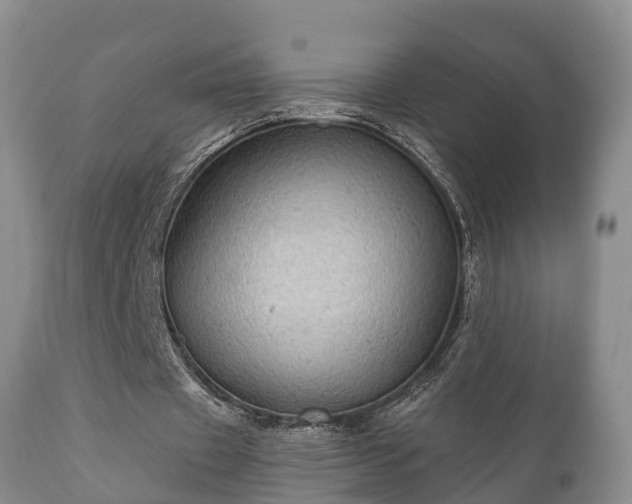 X0000112350433200908201443