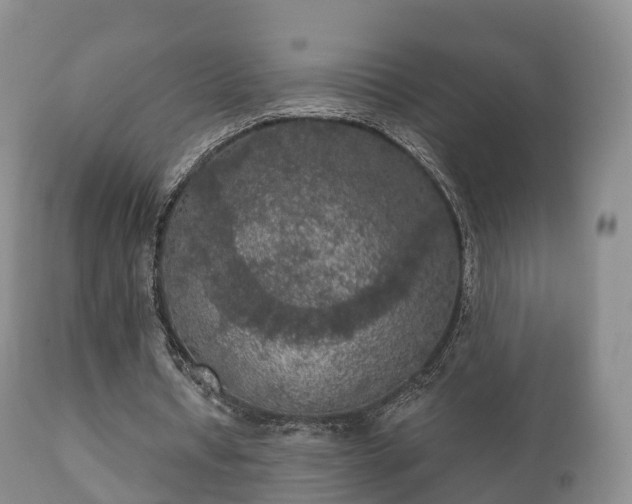 X0000112350434200908201443