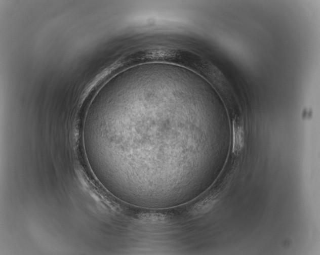 X0000112350435200908201443