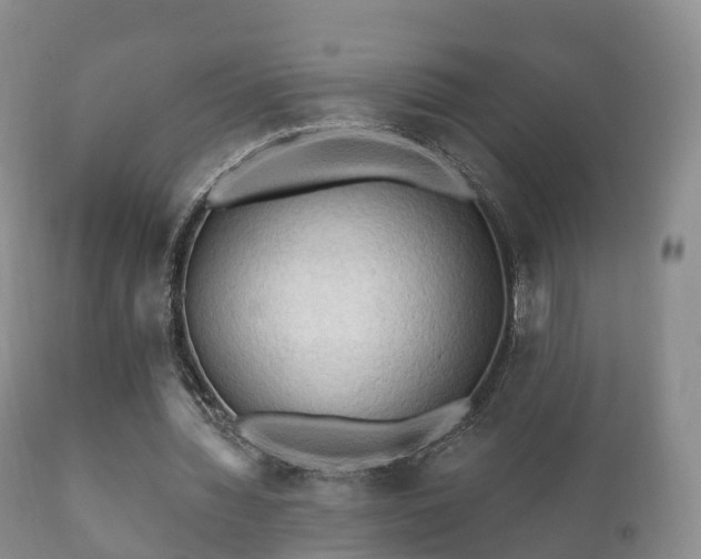 X0000112350436200908201443