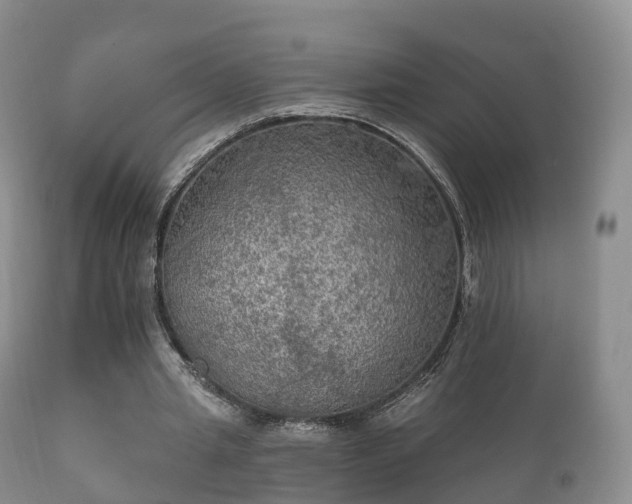 X0000112350437200908201443