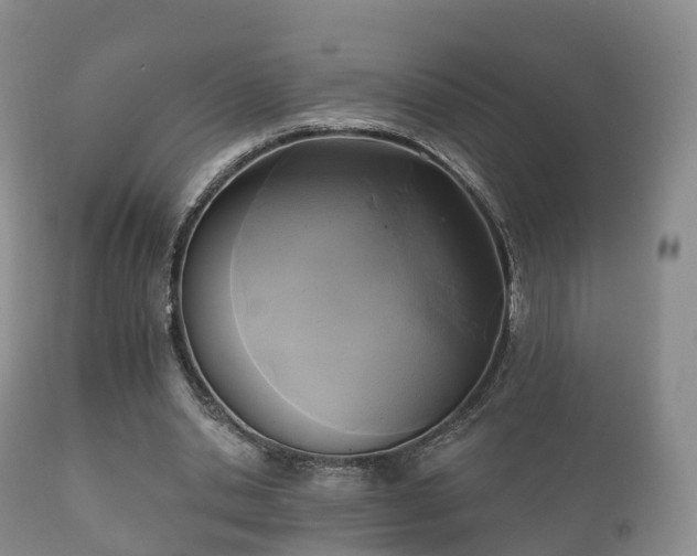 X0000112350438200908201443