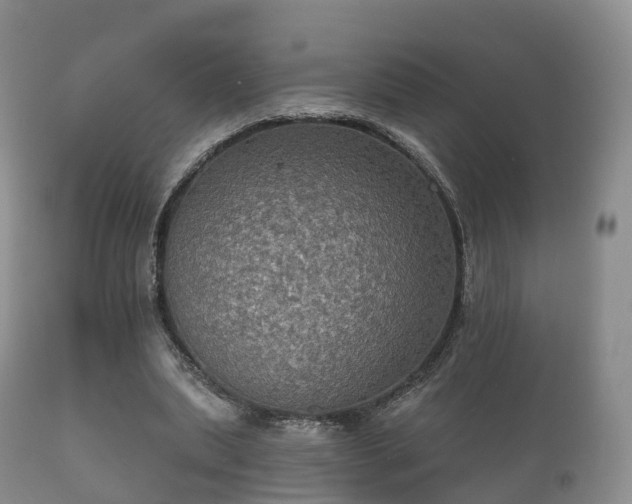 X0000112350439200908201443
