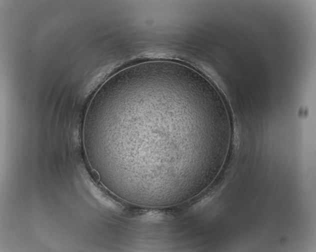 X0000112350441200908201443