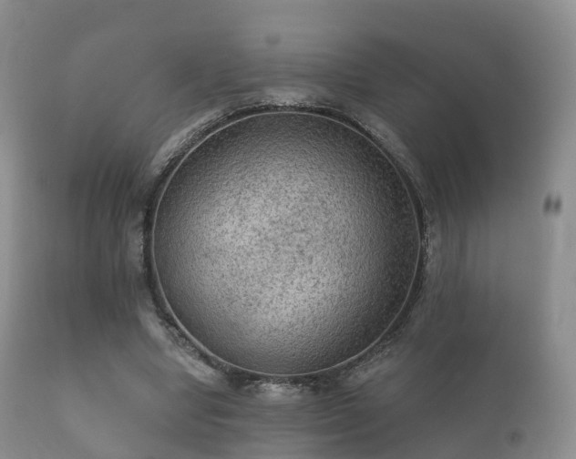 X0000112350442200908201443