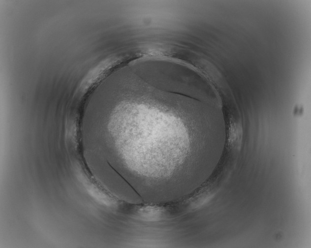 X0000112350444200908201443
