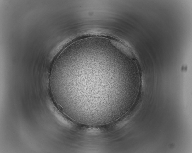 X0000112350445200908201443