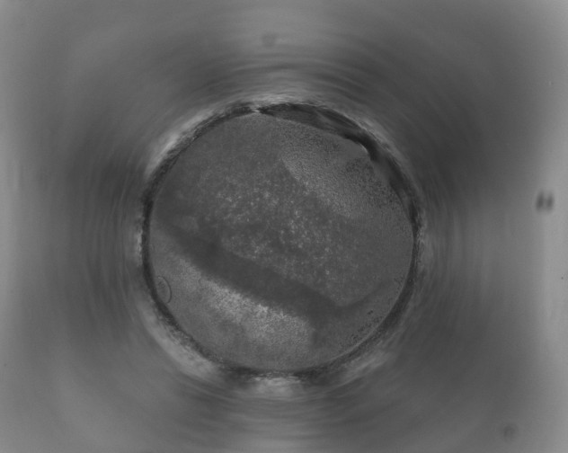 X0000112350446200908201443