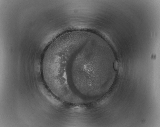 X0000112350447200908201443