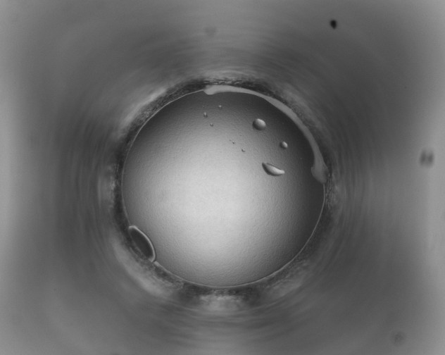 X0000112350448200908201443