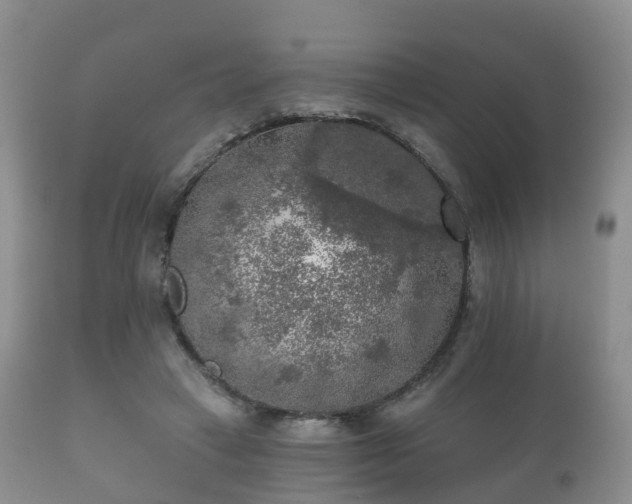 X0000112350449200908201443