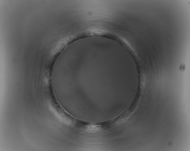 X0000112350451200908201444