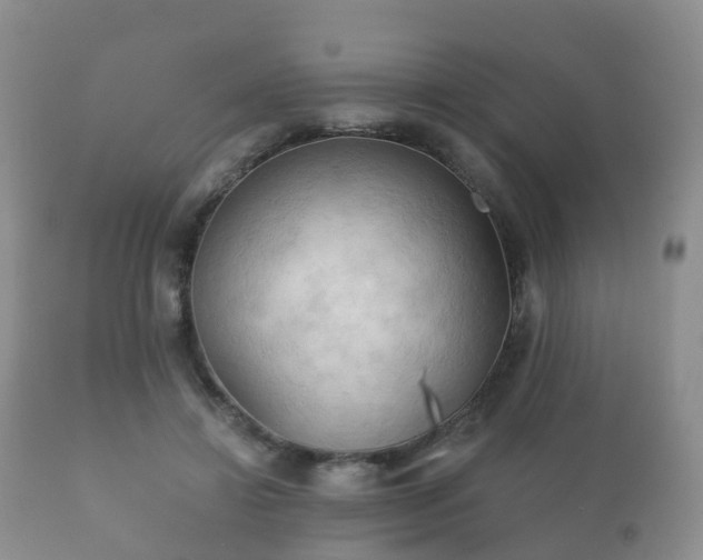 X0000112350452200908201444