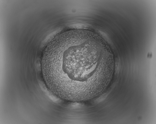 X0000112350453200908201444