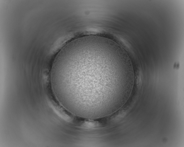 X0000112350455200908201444