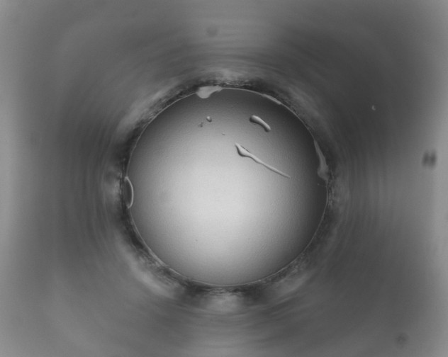 X0000112350456200908201444