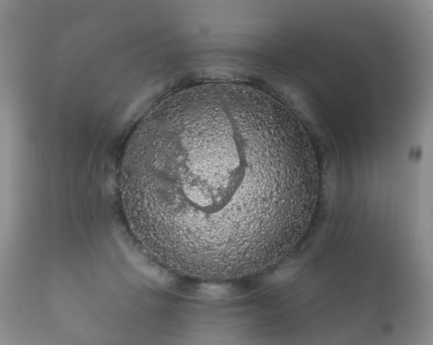 X0000112350457200908201444