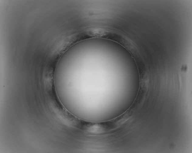 X0000112350460200908201444