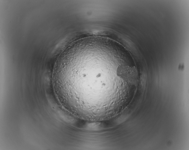 X0000112350461200908201444