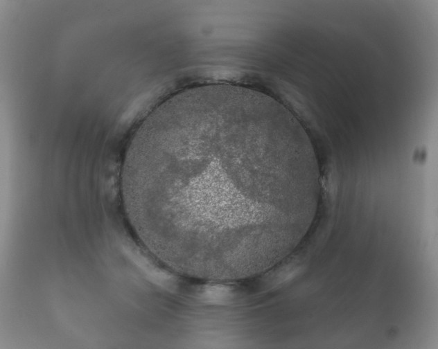 X0000112350462200908201444