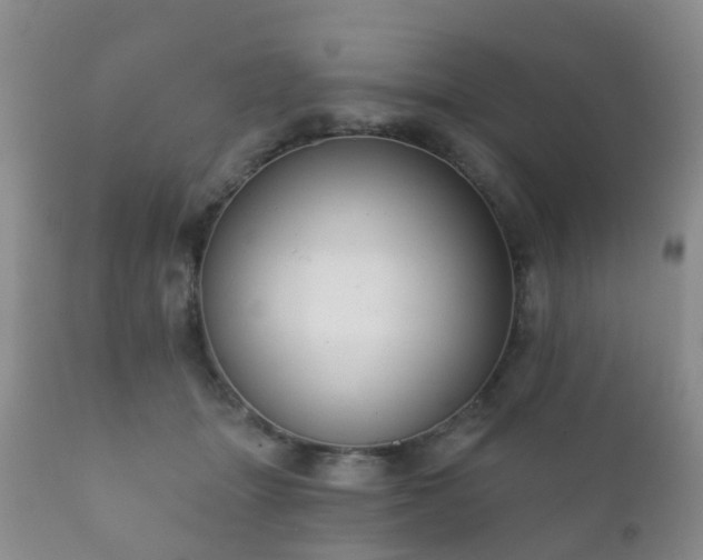 X0000112350463200908201444