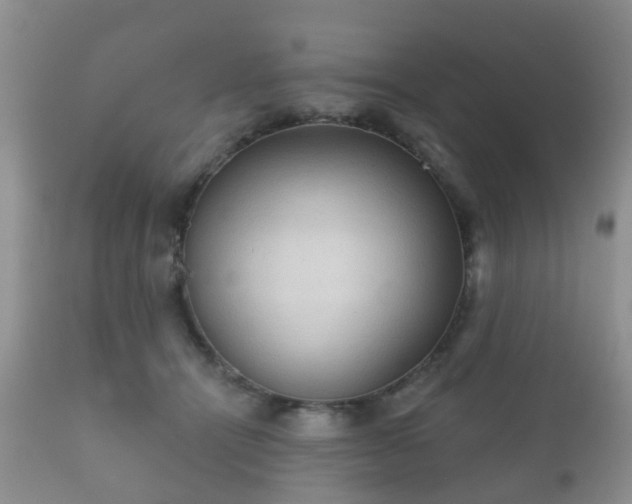X0000112350464200908201444