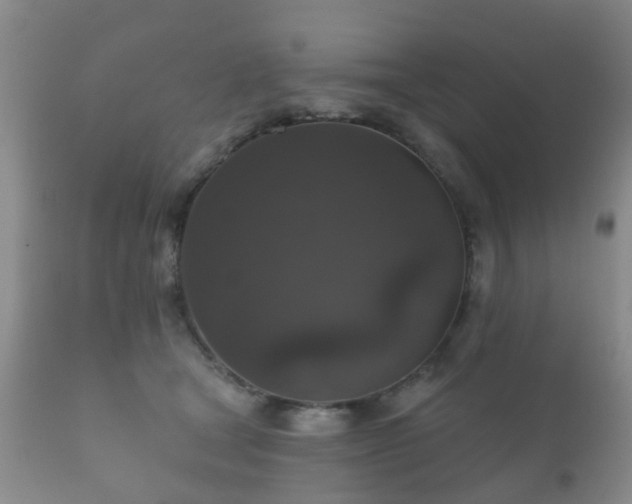 X0000112350465200908201444