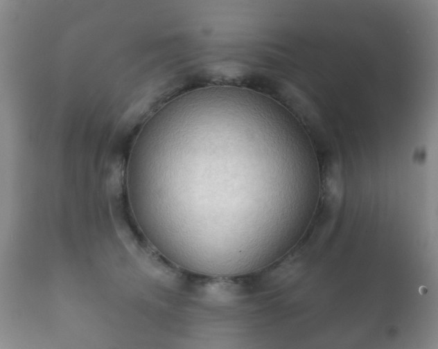 X0000112350468200908201444