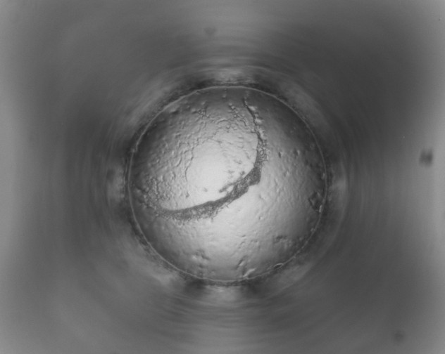 X0000112350469200908201444