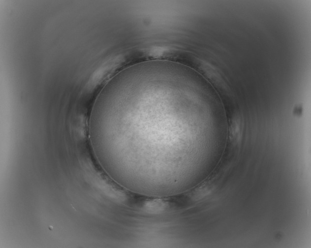 X0000112350470200908201444