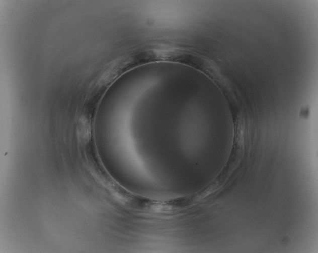 X0000112350471200908201444