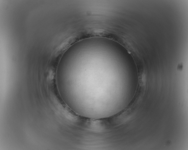 X0000112350472200908201444