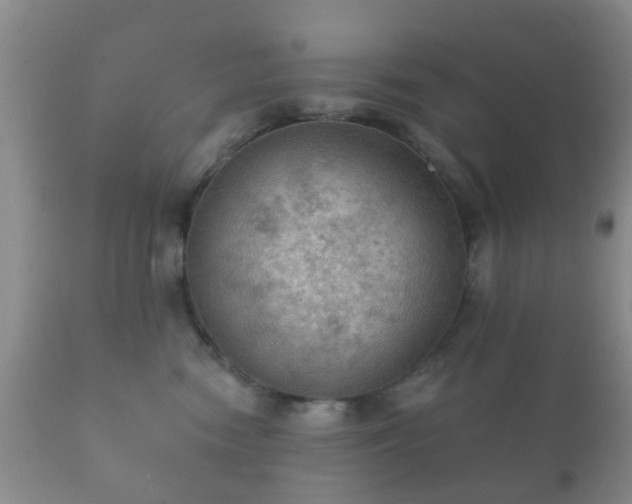 X0000112350474200908201444