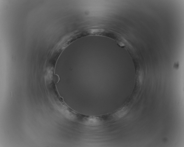 X0000112350475200908201444