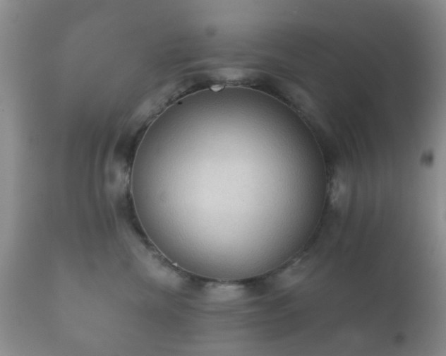 X0000112350476200908201444