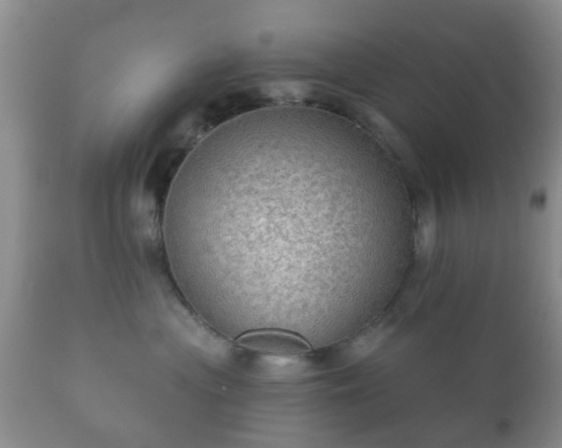 X0000112350477200908201444