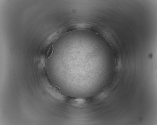 X0000112350478200908201444
