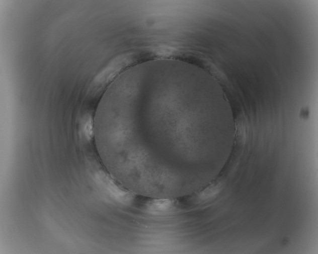 X0000112350479200908201444