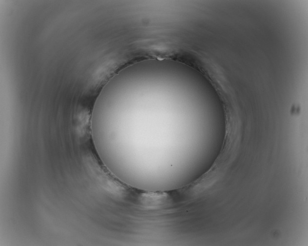 X0000112350480200908201444