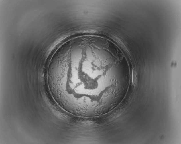X0000112350483200908201443
