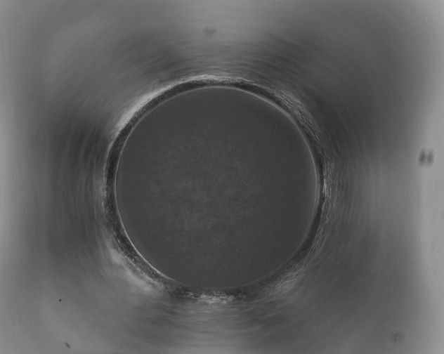 X0000112350484200908201443
